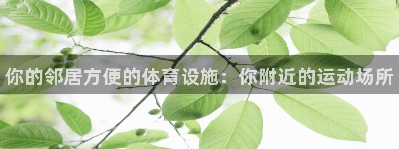 尊龙新版登录网址下载